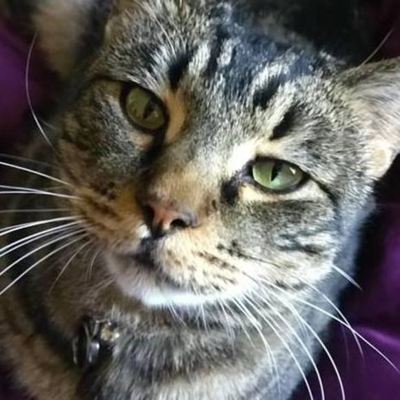 Meet your Posher, Rachael - Picture 1 of 1